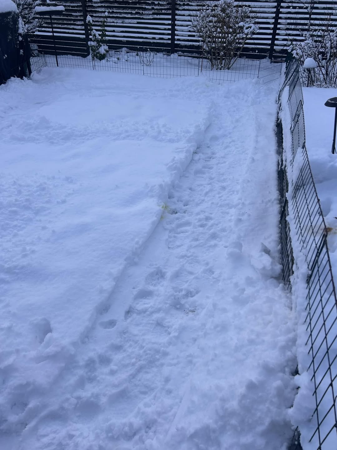 behandlingar för spelmissbrukare